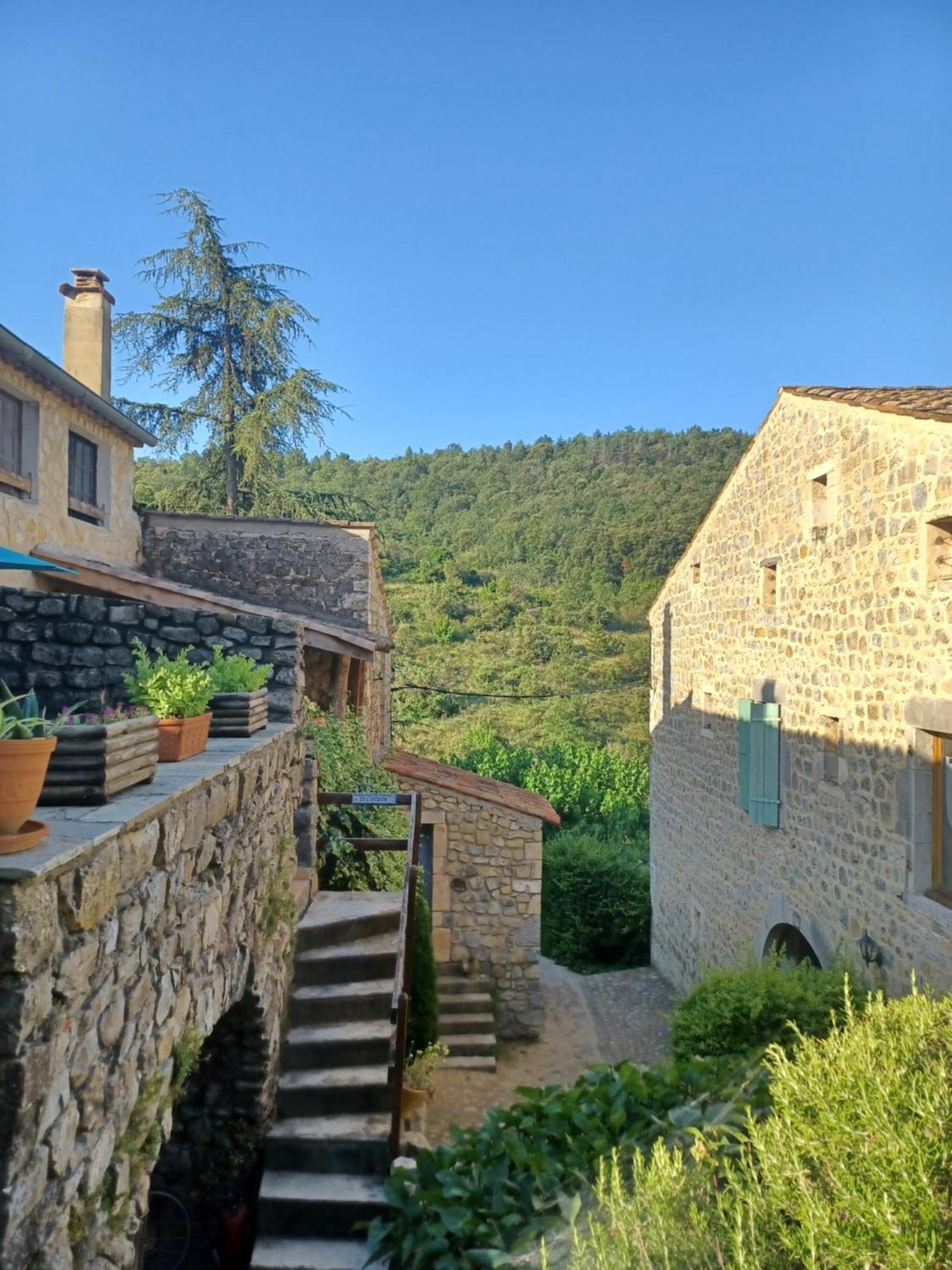 Gites Du Domaine De Serre Long Saint-Maurice-d'Ibie Exterior photo