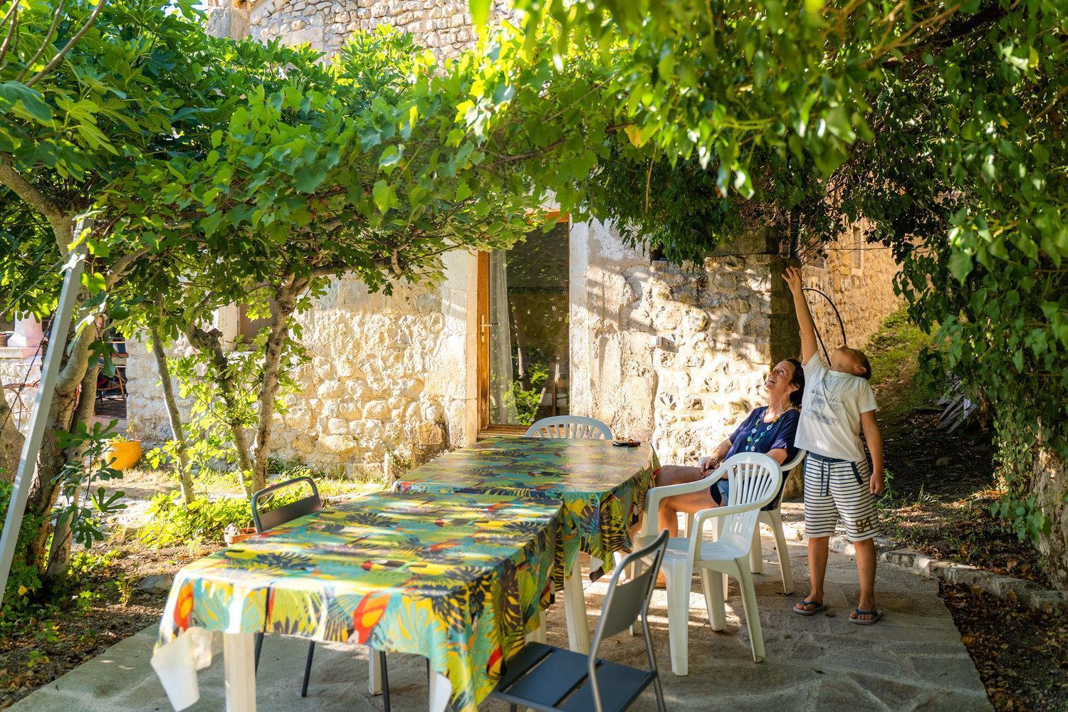 Gites Du Domaine De Serre Long Saint-Maurice-d'Ibie Exterior photo